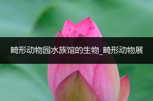 畸形动物园水族馆的生物_畸形动物展