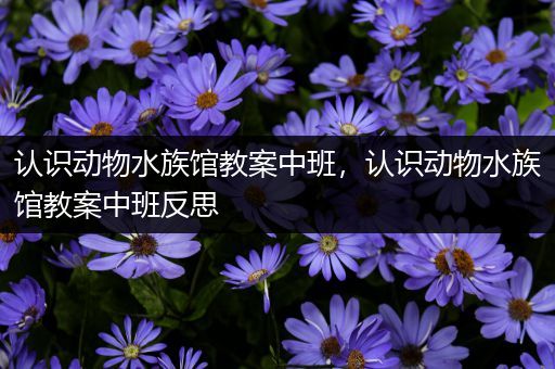 认识动物水族馆教案中班，认识动物水族馆教案中班反思