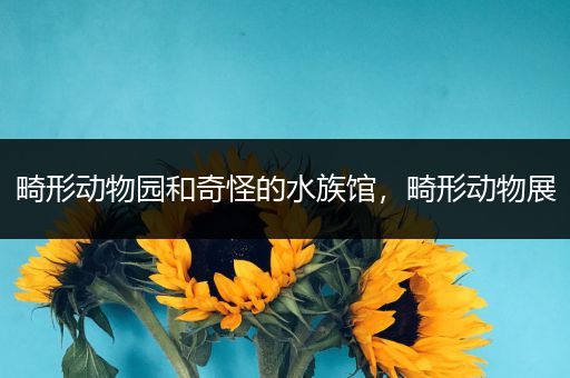 畸形动物园和奇怪的水族馆，畸形动物展