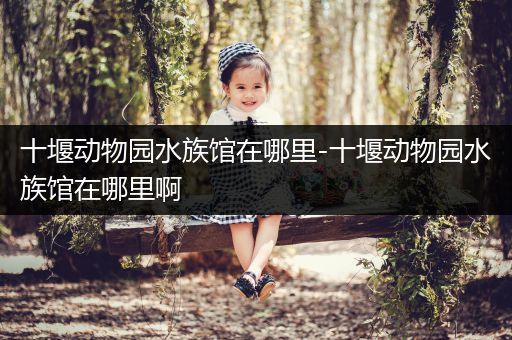 十堰动物园水族馆在哪里-十堰动物园水族馆在哪里啊