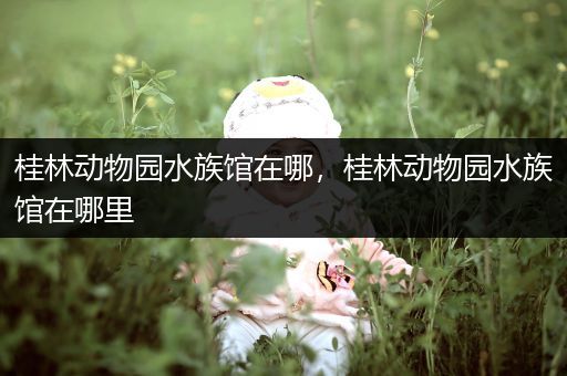 桂林动物园水族馆在哪，桂林动物园水族馆在哪里