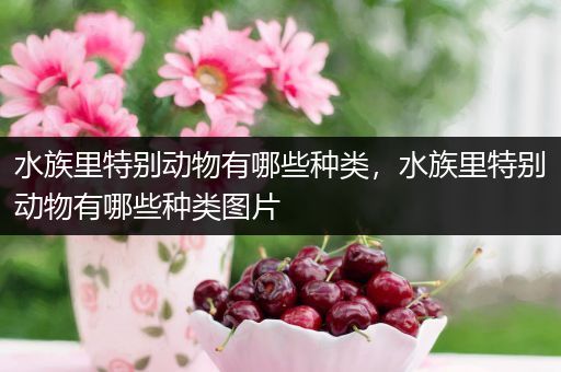 水族里特别动物有哪些种类，水族里特别动物有哪些种类图片