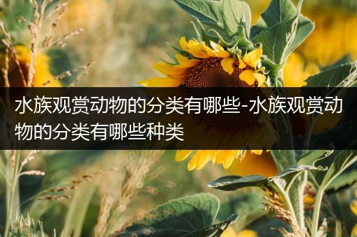 水族观赏动物的分类有哪些-水族观赏动物的分类有哪些种类