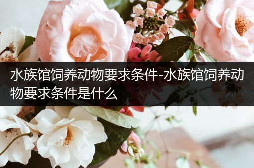 水族馆饲养动物要求条件-水族馆饲养动物要求条件是什么