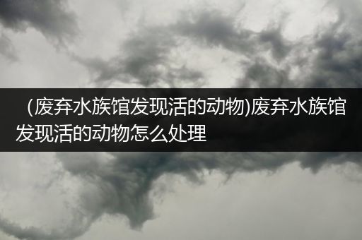 （废弃水族馆发现活的动物)废弃水族馆发现活的动物怎么处理