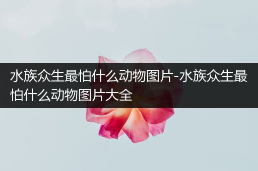 水族众生最怕什么动物图片-水族众生最怕什么动物图片大全