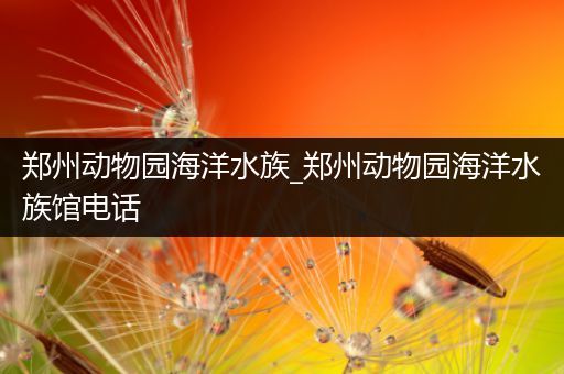 郑州动物园海洋水族_郑州动物园海洋水族馆电话