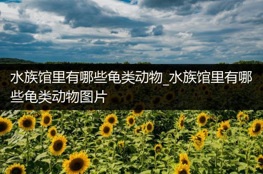 水族馆里有哪些龟类动物_水族馆里有哪些龟类动物图片
