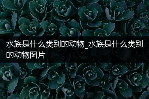 水族是什么类别的动物_水族是什么类别的动物图片