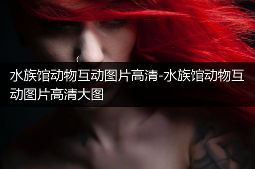 水族馆动物互动图片高清-水族馆动物互动图片高清大图