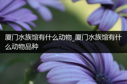 厦门水族馆有什么动物_厦门水族馆有什么动物品种