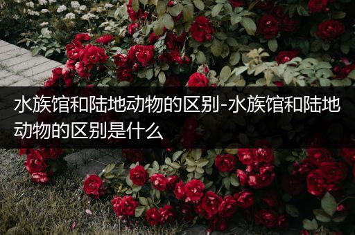 水族馆和陆地动物的区别-水族馆和陆地动物的区别是什么