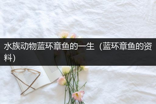 水族动物蓝环章鱼的一生（蓝环章鱼的资料）
