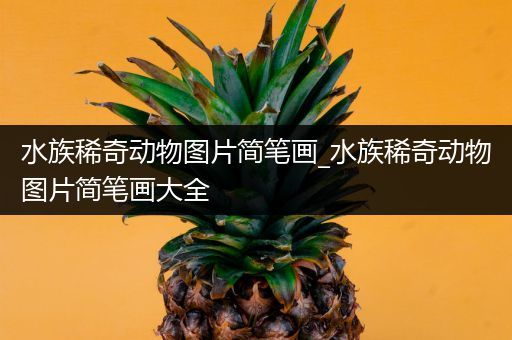 水族稀奇动物图片简笔画_水族稀奇动物图片简笔画大全