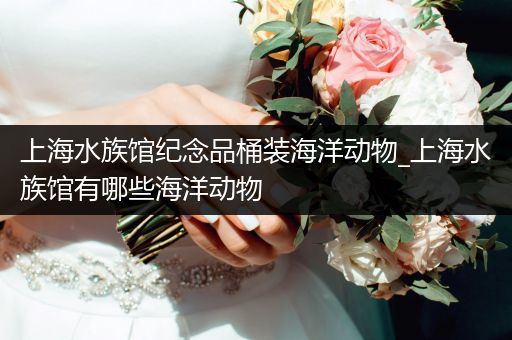 上海水族馆纪念品桶装海洋动物_上海水族馆有哪些海洋动物