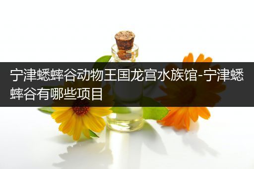 宁津蟋蟀谷动物王国龙宫水族馆-宁津蟋蟀谷有哪些项目