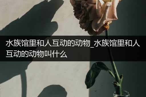 水族馆里和人互动的动物_水族馆里和人互动的动物叫什么