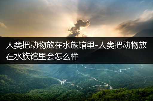 人类把动物放在水族馆里-人类把动物放在水族馆里会怎么样