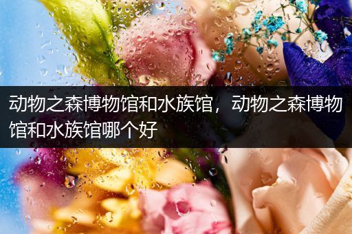 动物之森博物馆和水族馆，动物之森博物馆和水族馆哪个好