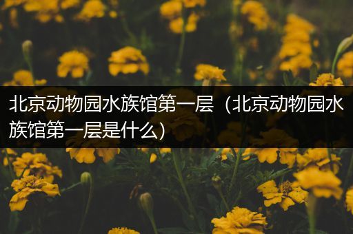 北京动物园水族馆第一层（北京动物园水族馆第一层是什么）