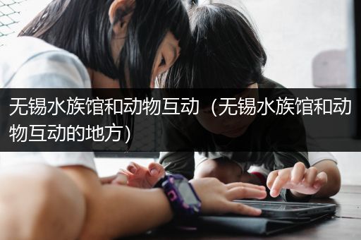 无锡水族馆和动物互动（无锡水族馆和动物互动的地方）