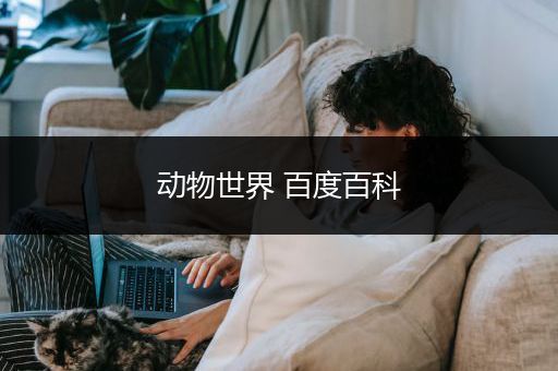 动物世界 百度百科