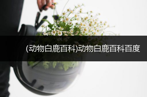 （动物白鹿百科)动物白鹿百科百度