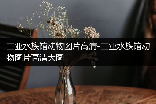 三亚水族馆动物图片高清-三亚水族馆动物图片高清大图