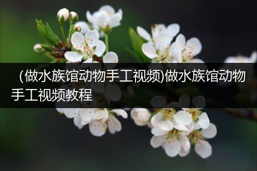 （做水族馆动物手工视频)做水族馆动物手工视频教程