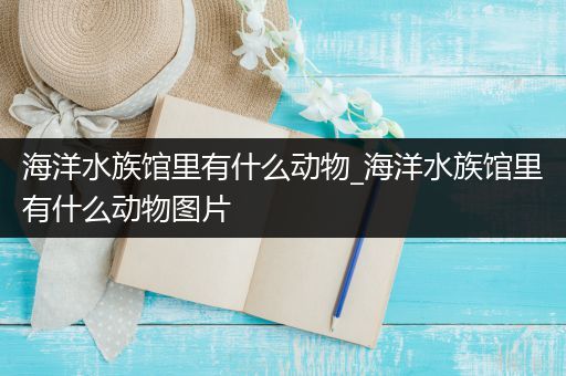 海洋水族馆里有什么动物_海洋水族馆里有什么动物图片