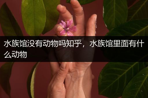 水族馆没有动物吗知乎，水族馆里面有什么动物