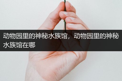 动物园里的神秘水族馆，动物园里的神秘水族馆在哪