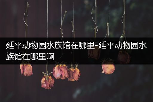 延平动物园水族馆在哪里-延平动物园水族馆在哪里啊