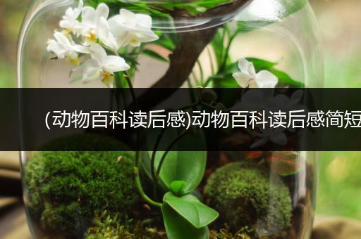 （动物百科读后感)动物百科读后感简短