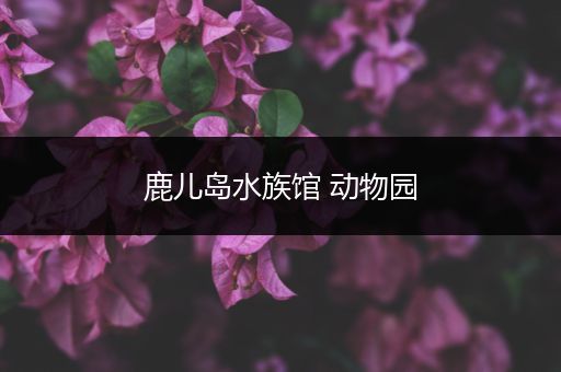 鹿儿岛水族馆 动物园