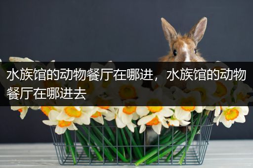 水族馆的动物餐厅在哪进，水族馆的动物餐厅在哪进去