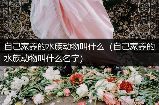 自己家养的水族动物叫什么（自己家养的水族动物叫什么名字）