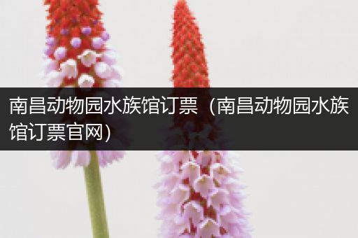 南昌动物园水族馆订票（南昌动物园水族馆订票官网）