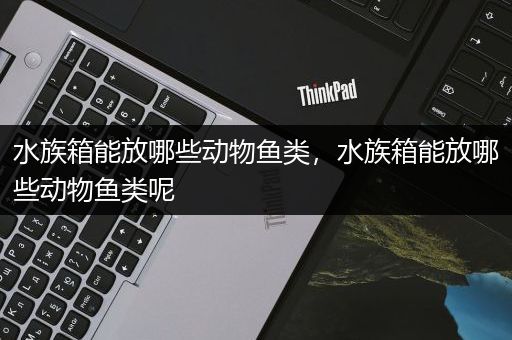 水族箱能放哪些动物鱼类，水族箱能放哪些动物鱼类呢