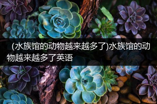 （水族馆的动物越来越多了)水族馆的动物越来越多了英语