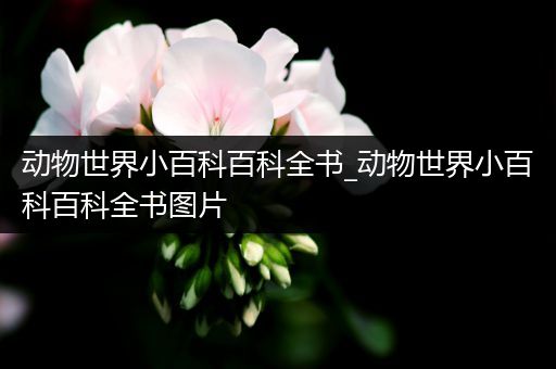 动物世界小百科百科全书_动物世界小百科百科全书图片