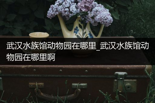 武汉水族馆动物园在哪里_武汉水族馆动物园在哪里啊