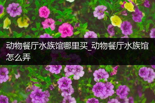 动物餐厅水族馆哪里买_动物餐厅水族馆怎么弄
