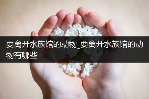 要离开水族馆的动物_要离开水族馆的动物有哪些