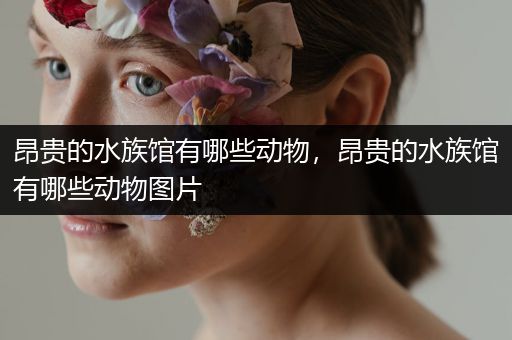 昂贵的水族馆有哪些动物，昂贵的水族馆有哪些动物图片