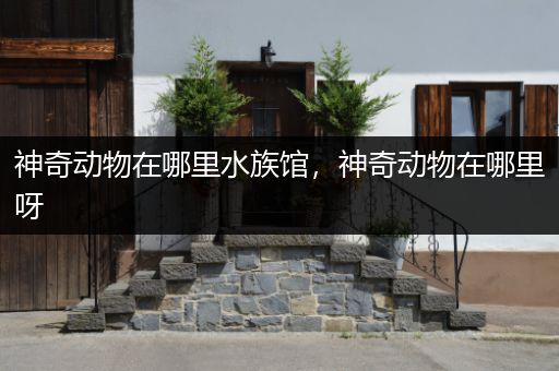 神奇动物在哪里水族馆，神奇动物在哪里呀