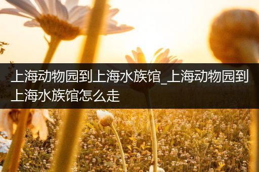 上海动物园到上海水族馆_上海动物园到上海水族馆怎么走