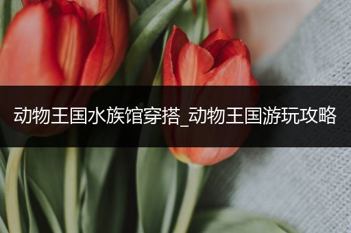 动物王国水族馆穿搭_动物王国游玩攻略