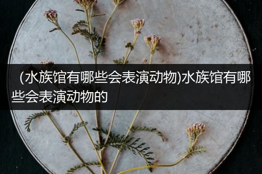 （水族馆有哪些会表演动物)水族馆有哪些会表演动物的