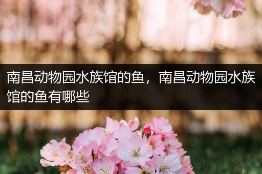 南昌动物园水族馆的鱼，南昌动物园水族馆的鱼有哪些